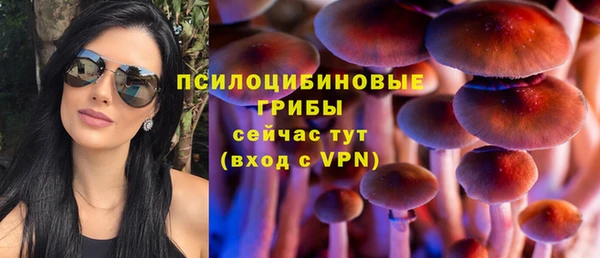 сатива Алексин