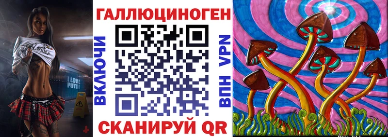 Галлюциногенные грибы прущие грибы  ссылка на мегу tor  Гаврилов Посад 